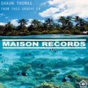 Shaun Thomas - Vibe