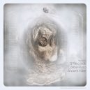Caribe Ruso - China Blames You (Original Mix)