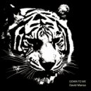 David Manso - Down To Me