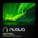 David Schnarr - Aurora