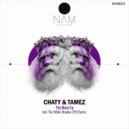Chaty, Tamez - The Moon (THe WHite SHadow (FR) Remix)