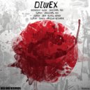 Diwex - Slash (Sunju Hargun Reshape)