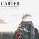 Carter - When It Burns Inside