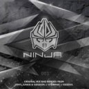 Mystery & Kosine - Ninja Bizness (Vinyl Junkie & Sanxion Remix)