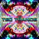 Dreamtrip - Extasy