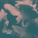 Slow Sun - Aubergine (Rea\'dio & Wtchcrft Remix)