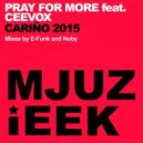 Pray For More feat. Ceevox - Cariño 2015 (E-Funk Summer Mix)