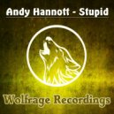 Andy Hannott - Stupid