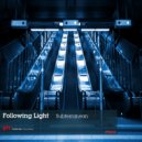 Following Light - Mold (Original Mix)