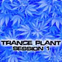 Lotus Project - Devil Fish (Original Mix)