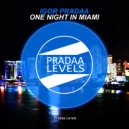 DJ Igor PradAA - One Night In Miami