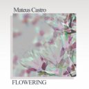 Mateus Castro - Flowering