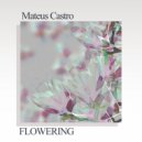 Mateus Castro - Flowering (Original Mix)