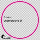 Ermess - Control (Original Mix)