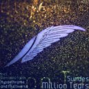 Sundes - Million Tears (Hypaethrame Remix)