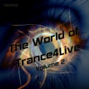 Wiwied Wicaksono (DJM) - Beautiful Faulties (Original Mix)