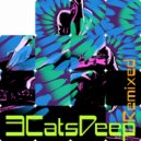 3CatsDeep - Zygometric (Spike O\'Connell Remix)