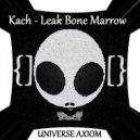 Kach - Hysterics Internal Tantrum (Original Mix)