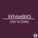 WhiteBit5 - Emptiness In My Head (Original Mix)