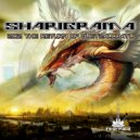Sharigrama - Beyond
