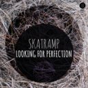 Skatramp - Looking For Perfection