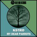 Kstro - My Dear Parrots (Andres Aguirre Remix)