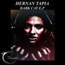 Hernan Tapia - Dark Cat