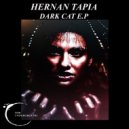 Hernan Tapia - Suedomsa (Original mix)