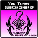Tek-Tunes - The Crazeez (Bad System & Limalli Remix)