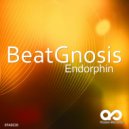 BeatGnosis - Endorphin (Original Mix)
