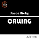 Sauce Bicky - Calling (Original Mix)