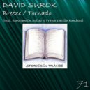 David Surok - Breeze (Konstantin Svilev Remix)
