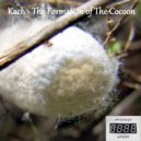 Kach - The Formation of The Cocoon