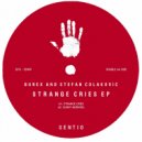 Burex & Stefan Colakovic - Strange Cries (Original Mix)