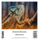 SymphonySounds - Attention Seeker (Original Mix)
