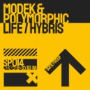 Modek - Life (Polymorphic Remix)