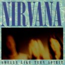 Nirvana - Smells Like Teen Spirit