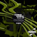 Chris Voro & Active Limbic System - Pandemonium