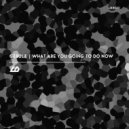 Cerule - Right On Time