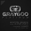 Martin Block & Kanevsky - Talking Hammer (The Moogs Remix)