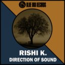 Rishi K. - Direction Of Sound (Alex Low Remix)