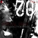Primal Beat - We Live In Vacuum (Robert Schrank Remix)