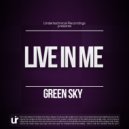 Green Sky - Illegal (Original Mix)