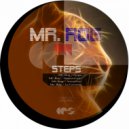 Mr. Rog - Attraction (Original Mix)
