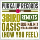 3 Bird - Oasis (How You Feel) (Original Mix)