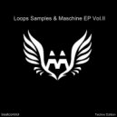 DJ Megalomaniac - Time To Trip-Out