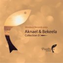 Paul Vinitsky & Kate Walsh - Me & You (Aknael & Bekeela Remix)