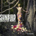 Sunbird - Tomorrow