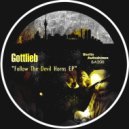 Gottlieb - Vicious Circle