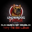 Alex Burn & Ant Reynolds - Try To Be Love (Original Mix)